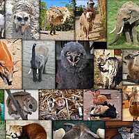 Lernort Opel-Zoo