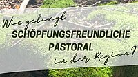 Wie gelingt schöpfungsfreundliche Pastoral in der Region?